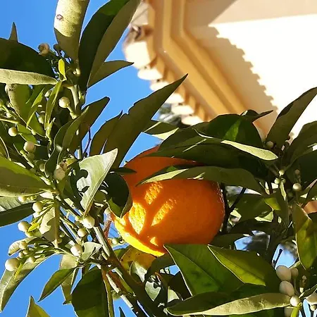 Klein Spaans Geluk לינה וארוחת בוקר Jávea