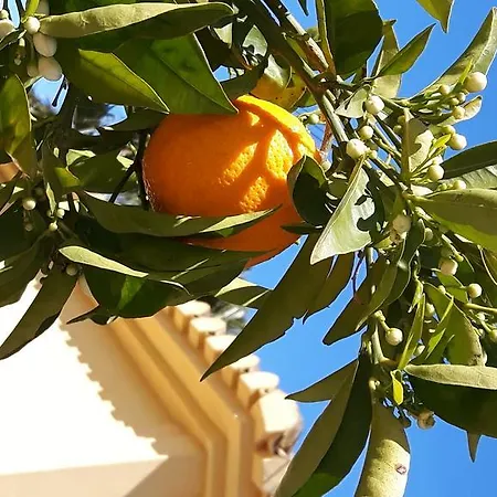 לינה וארוחת בוקר Klein Spaans Geluk Jávea