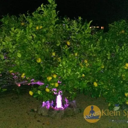 Klein Spaans Geluk * Jávea
